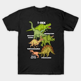 Dinosaur Species Gifts Kids T Rex Dinosaur T-Shirt